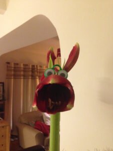 EB8D621F-FE8E-45B5-8B64-243B3DE4CD41